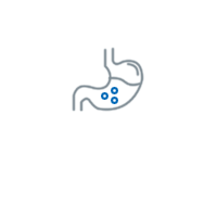 Digestive Tract And Metabolism